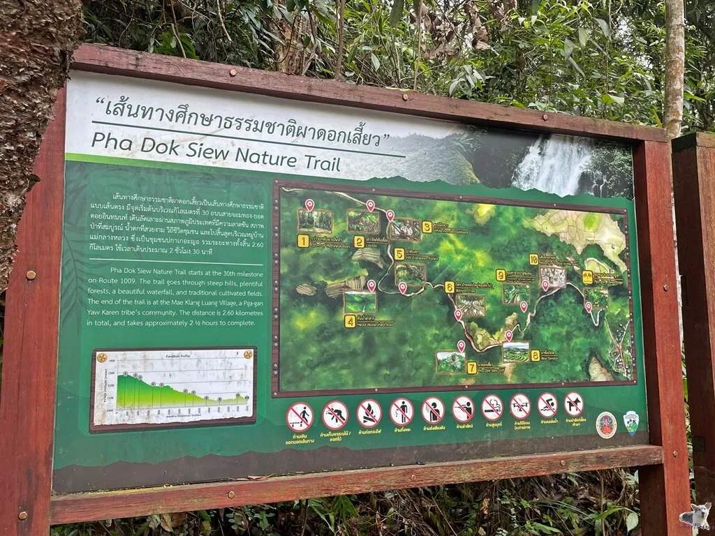 Pha Dok Siew Trail 2