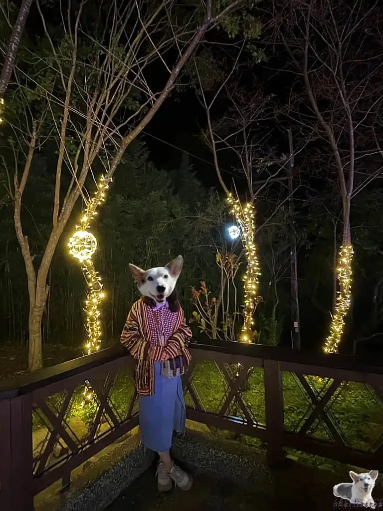谷關 山谷燈光節 15