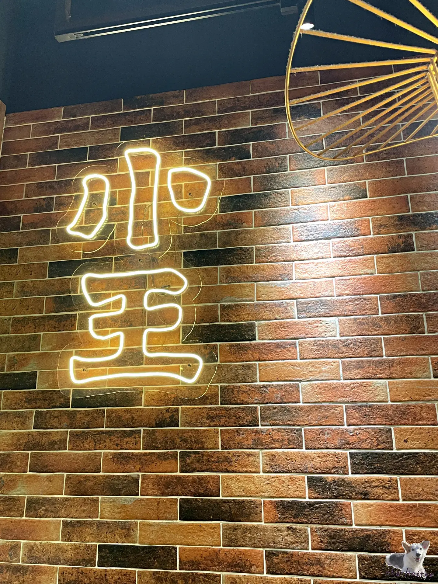小王煮瓜 16