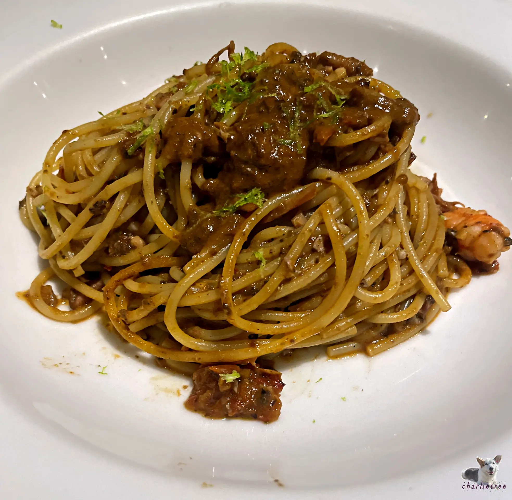 solopasta 4