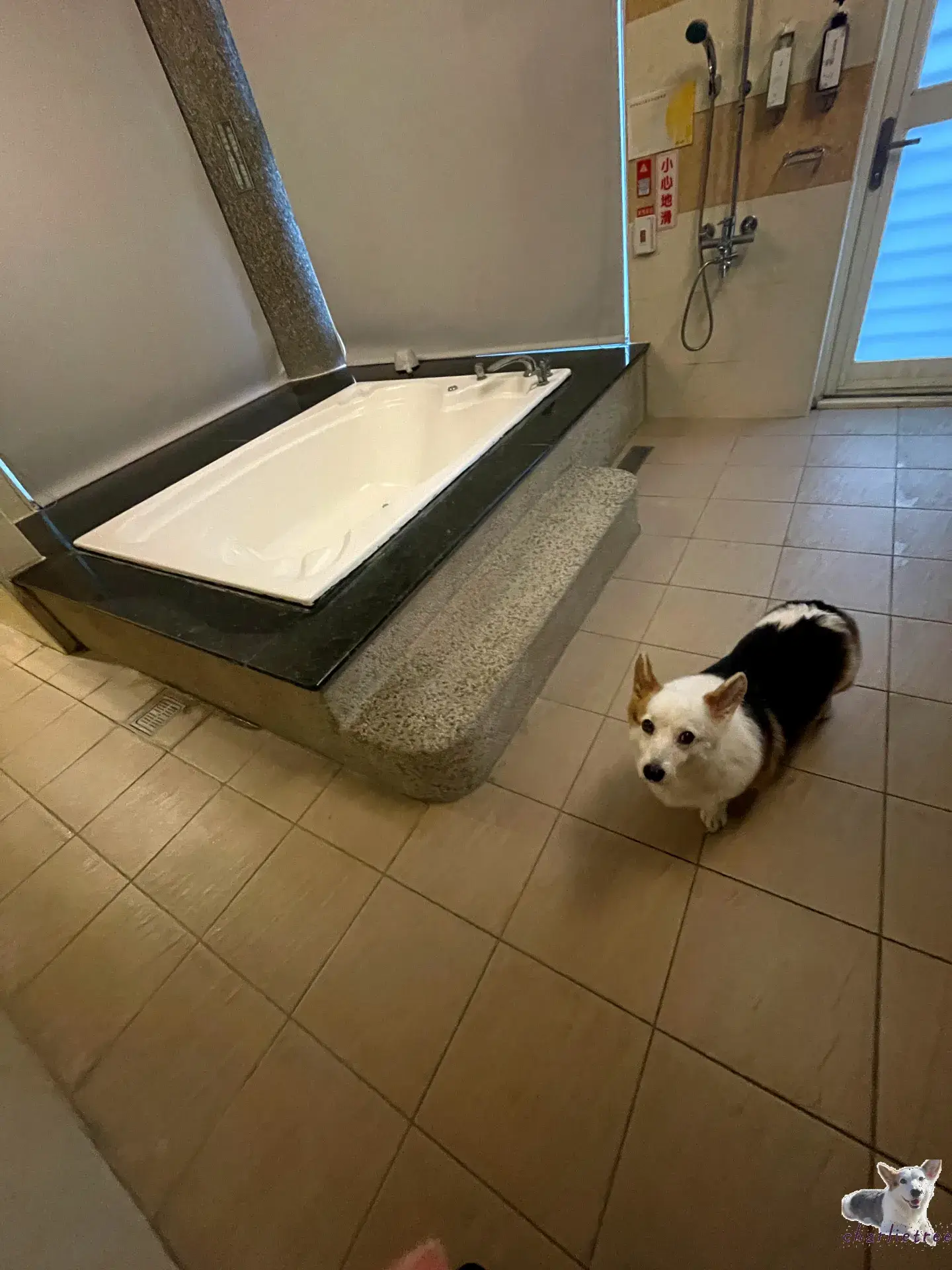 林桂園石泉會館 22