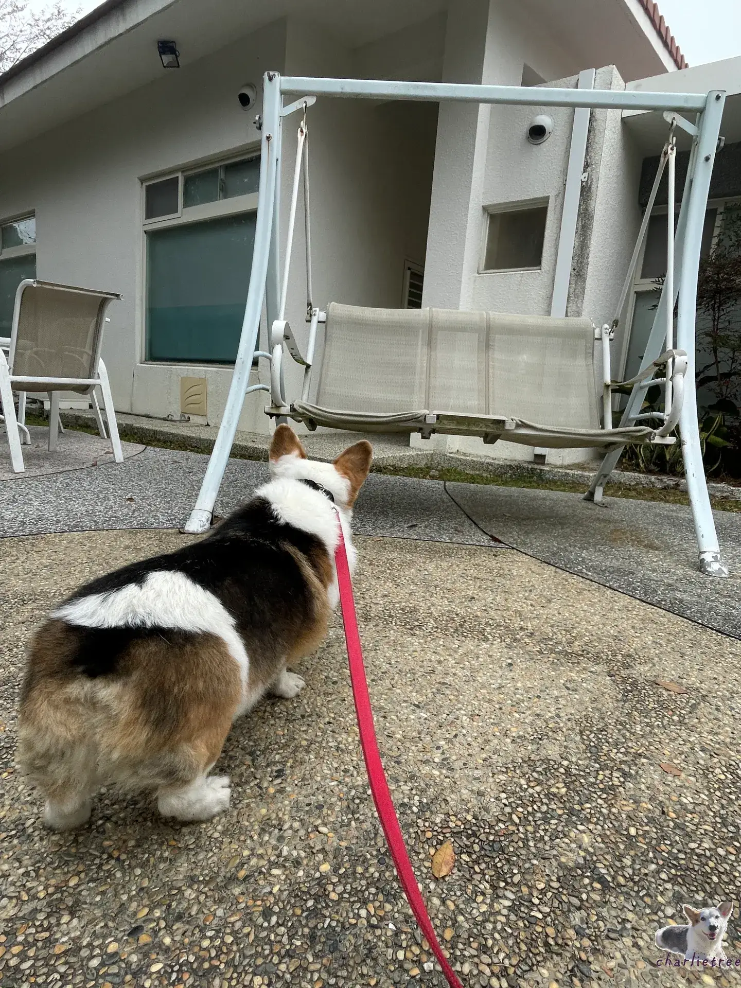 林桂園石泉會館 26