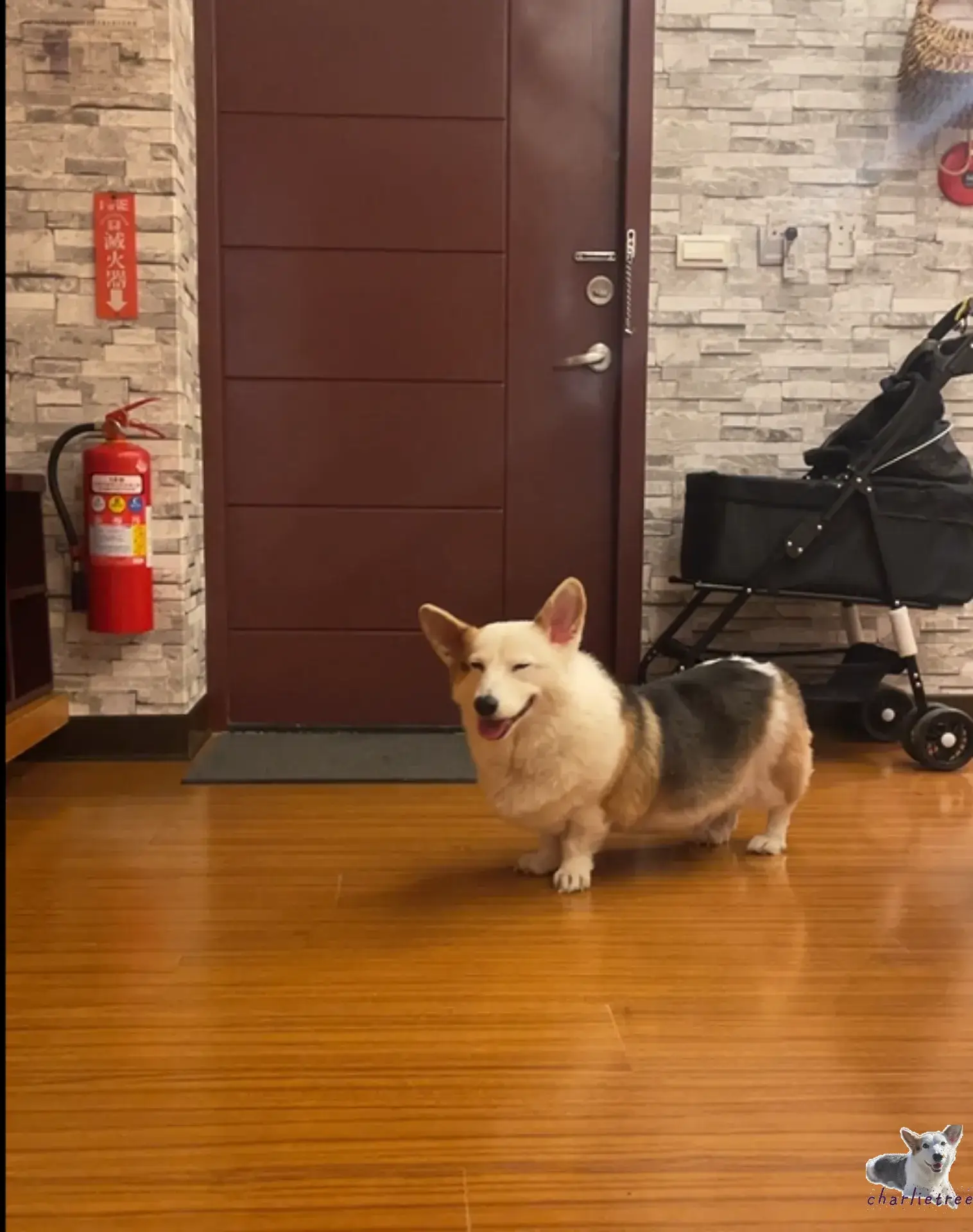 林桂園石泉會館 2